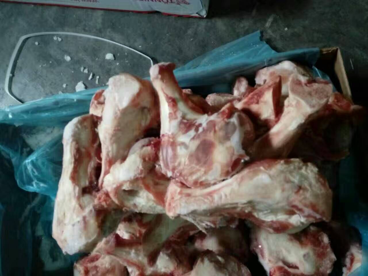 供应进口前腿骨 德国202（青猪）厂 冷冻前腿骨 正关产品
