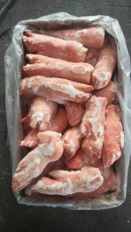 经销批发,德国202厂,进口猪手,冷冻猪蹄,供应各种进口猪副产品