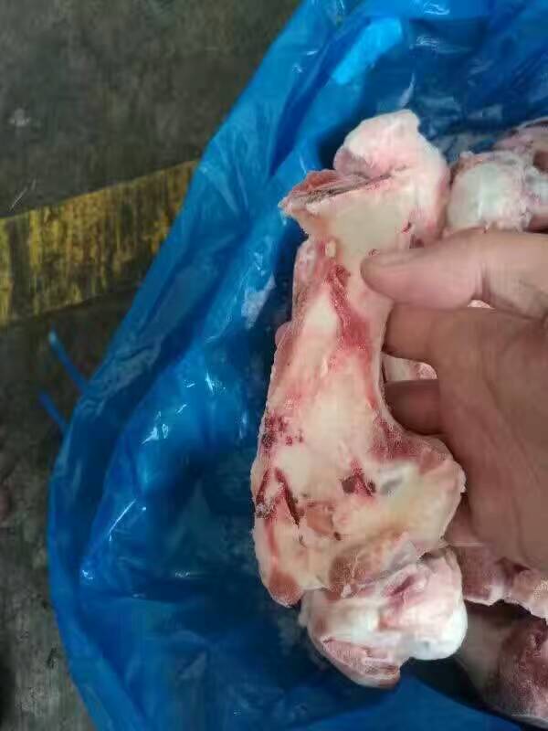 供应进口前腿骨（筒骨） 爱尔兰332厂 冷冻前腿骨 正关产品
